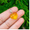 925 Silver Natural Baltic Amber Pendant -  Heart of Love