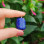 925 Silver Natural Lapis Lazuli Pendant - Natural Shape