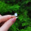 925 Silver Natural Moonstone Ring
