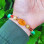 Multi Stone Bracelet , 8mm Citrine , Red Agate , Amber & Malachite Bracelet