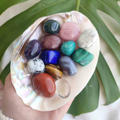 Natural Selenite Stone Dish with 8 Different Natural Stones