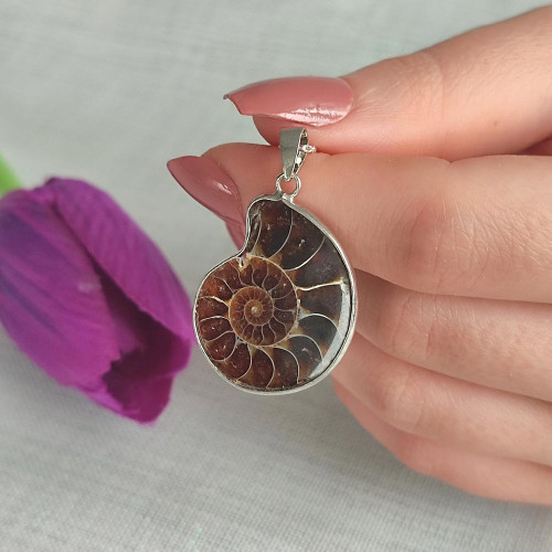 Ammonite Fossil Stone Pendant Ammonite Fossil Stone Pendant