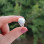 925 Sterling Silver White Pearl Ring