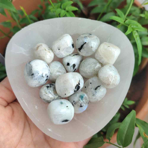 Moonstone Tumbled Stone Moonstone Tumbled Stone