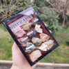 Small Rough Stones Box - Contains 12 Different Natural Stones Small Rough Stones Box - Contains 12 Different Natural Stones