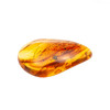 Amber - كهرمان